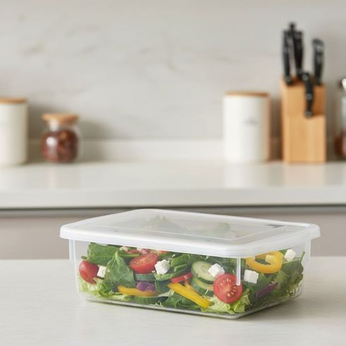 8536001900001-caixa-organizadora-plastico-tampa-2-5l-0310-pleion -2-